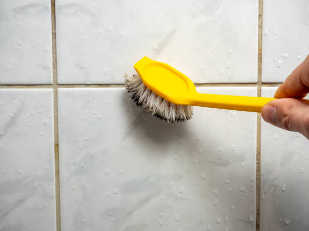 Best Local Mold Removal Service  in Albany, CA
