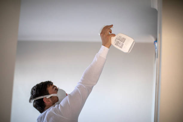Best Mold Cleaning Services  in Albany, CA