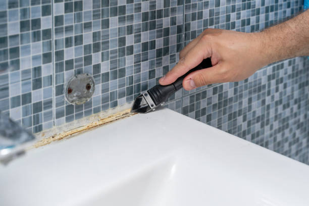 Best Mold Removal and Inspection  in Albany, CA